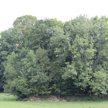 Ancienne abbaye de Saint-Sulpice