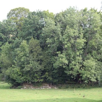 Ancienne abbaye de Saint-Sulpice