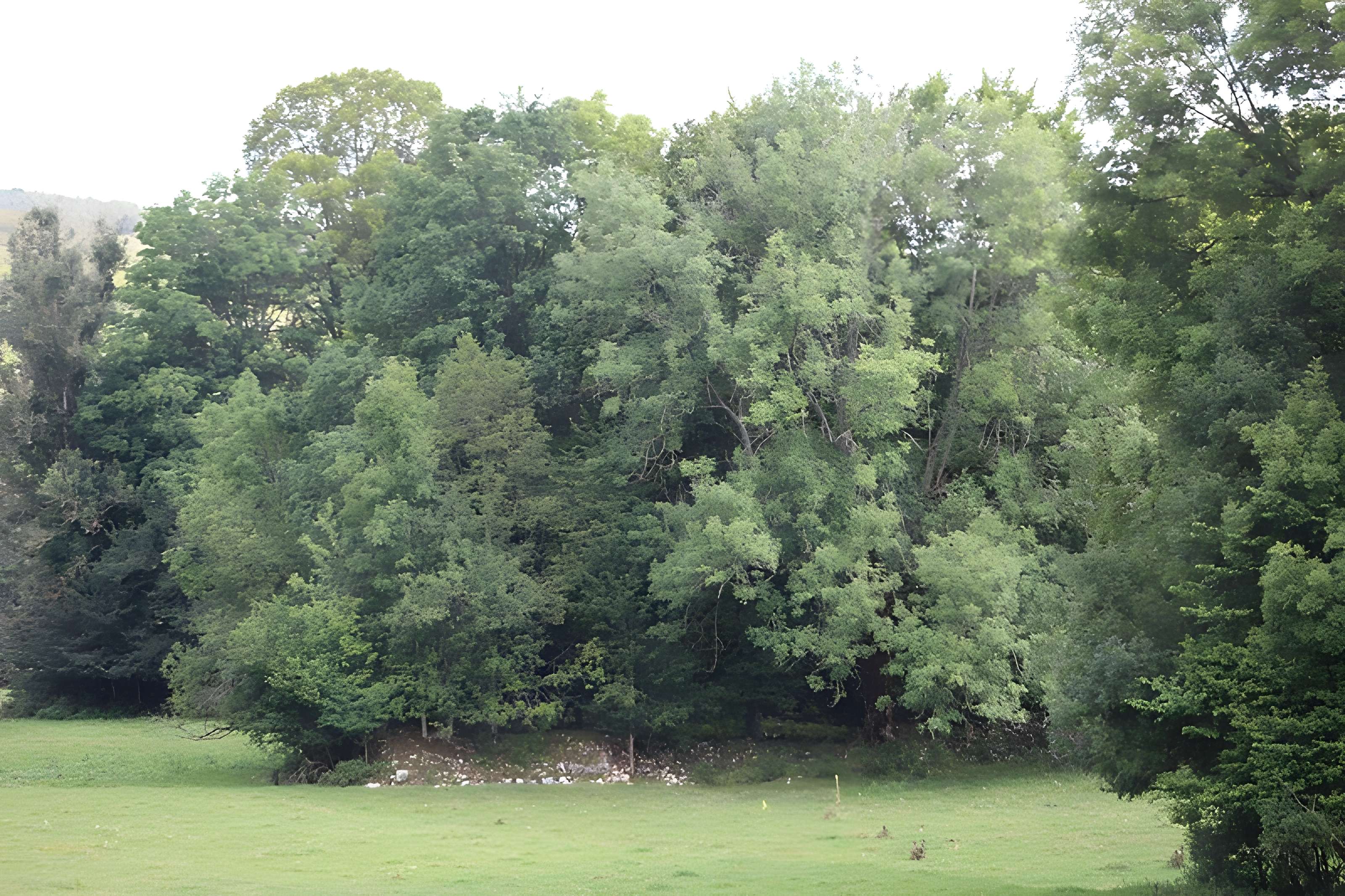 Ancienne abbaye de Saint-Sulpice