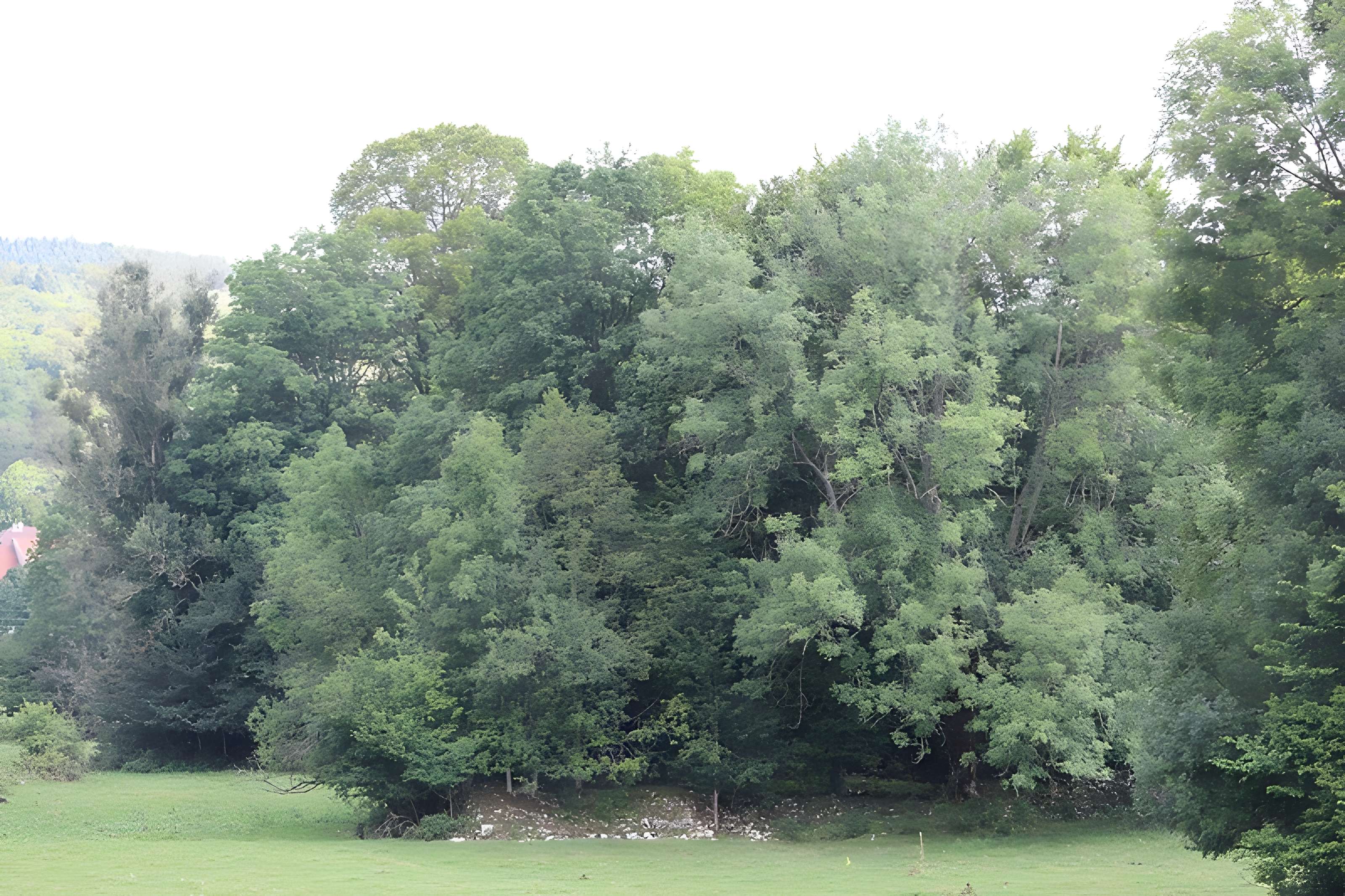 Ancienne abbaye de Saint-Sulpice