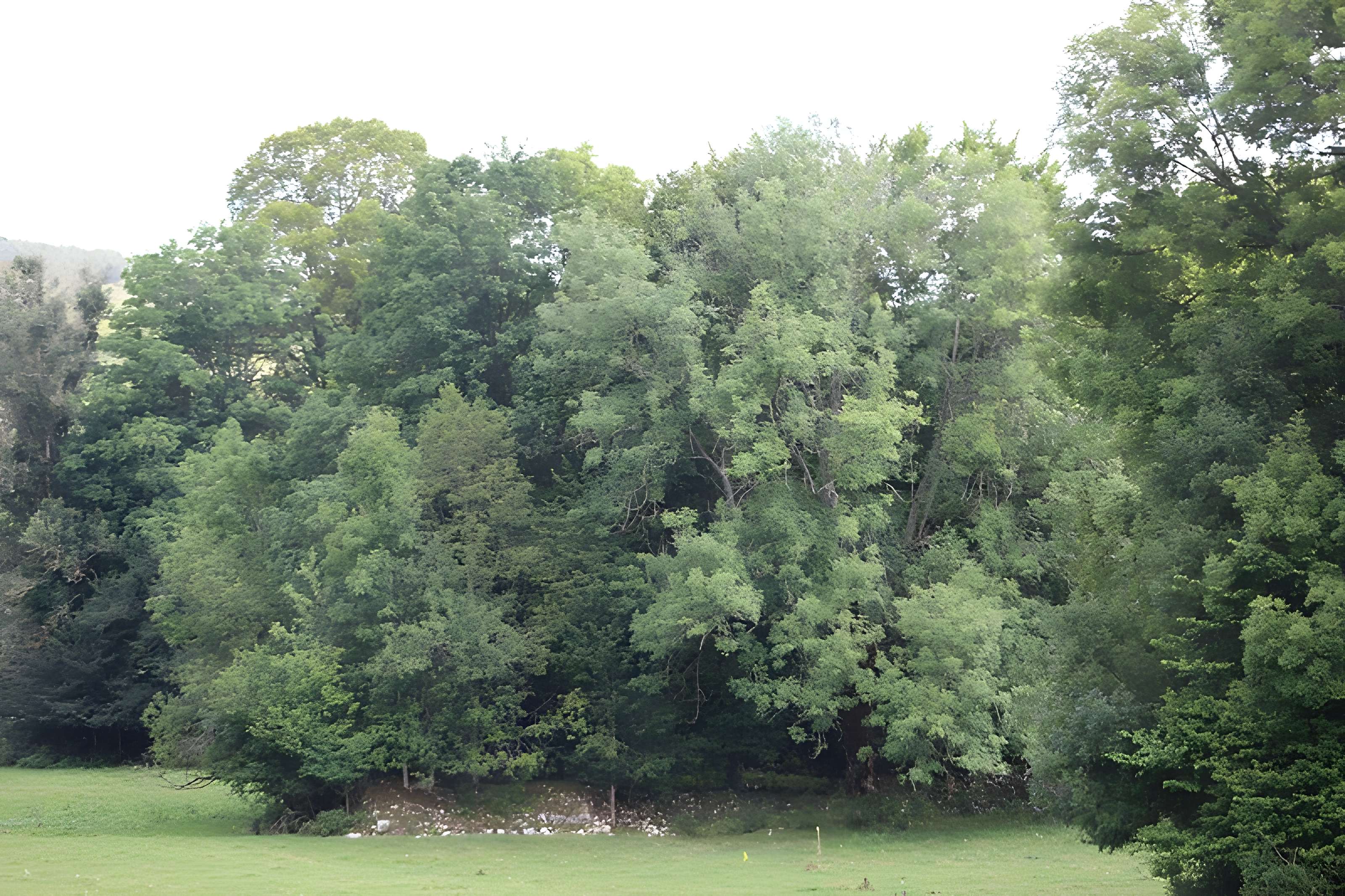 Ancienne abbaye de Saint-Sulpice