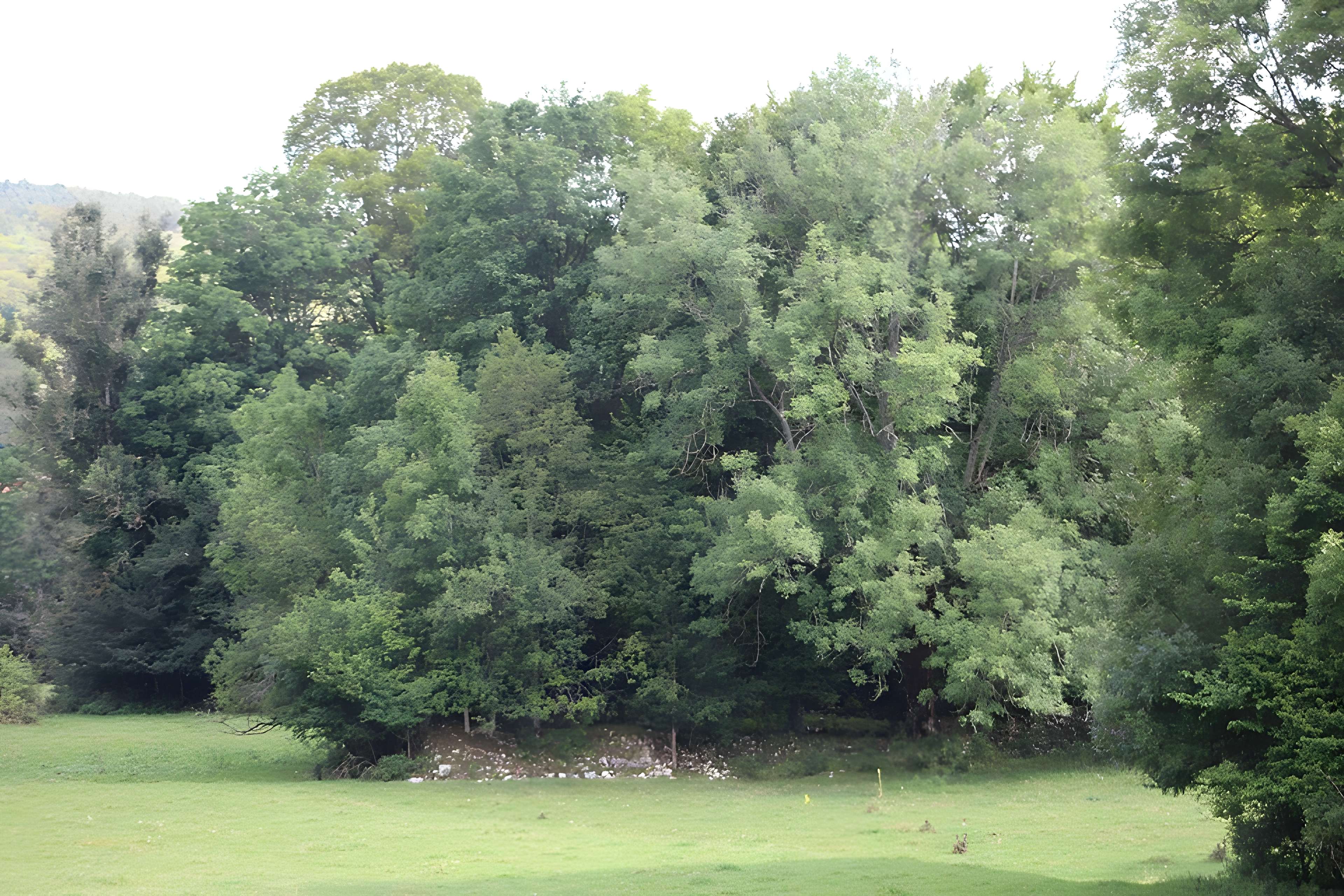 Ancienne abbaye de Saint-Sulpice