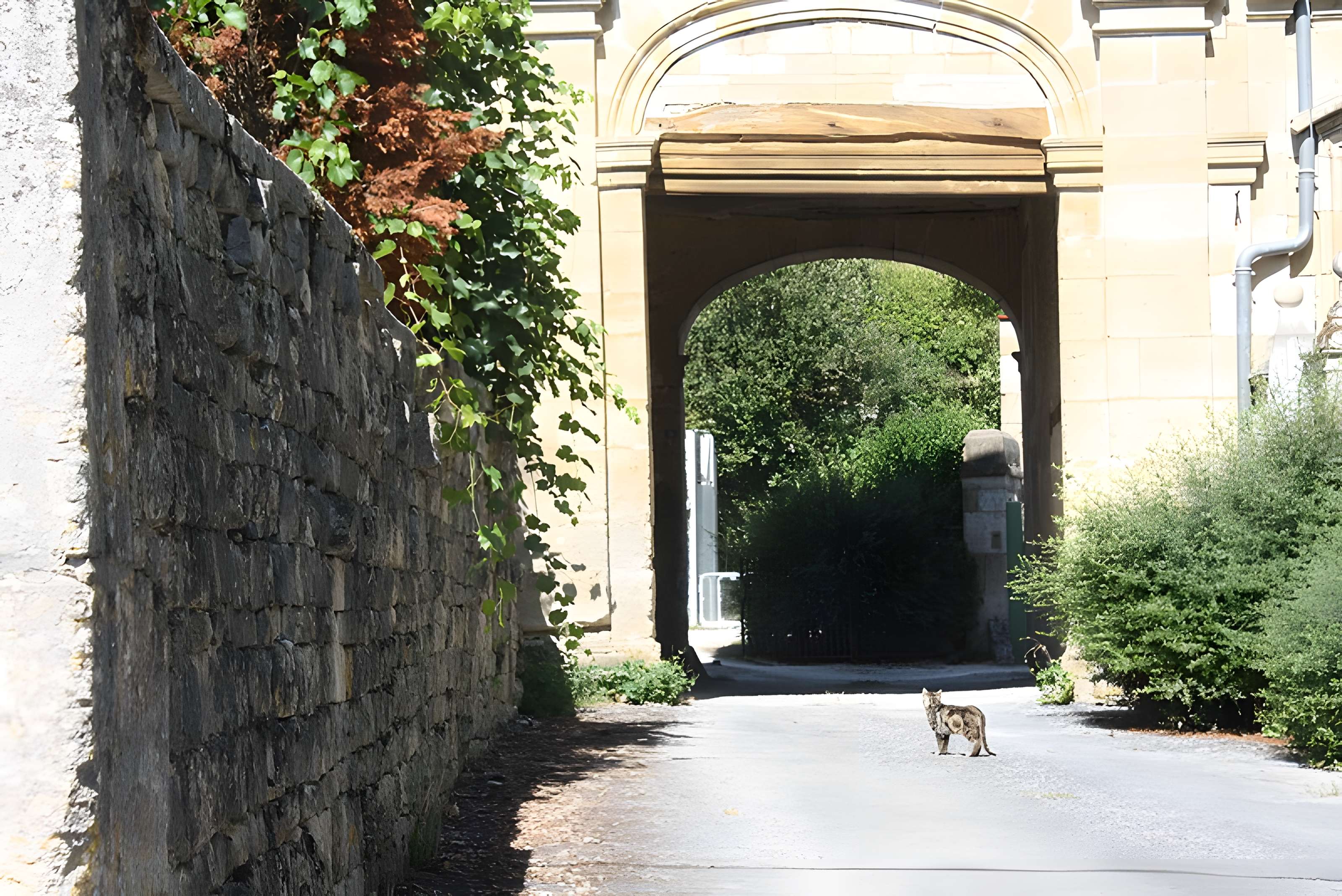 Abbaye de Saint-Urbain