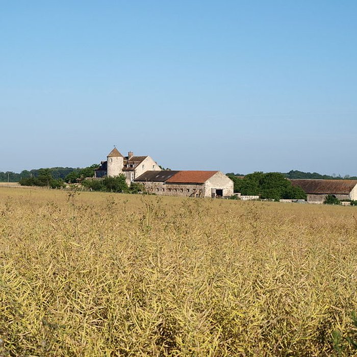 Photo de Abbaye de Villechasson