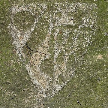 Abbaye Notre-Dame de Coatmalouen