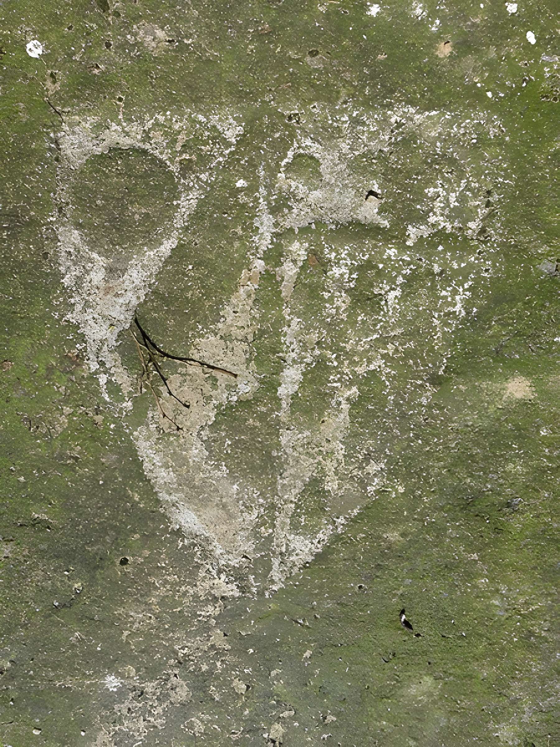 Abbaye Notre-Dame de Coatmalouen