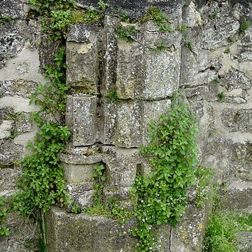 Abbaye Saint-Arnould de Crépy-en-Valois