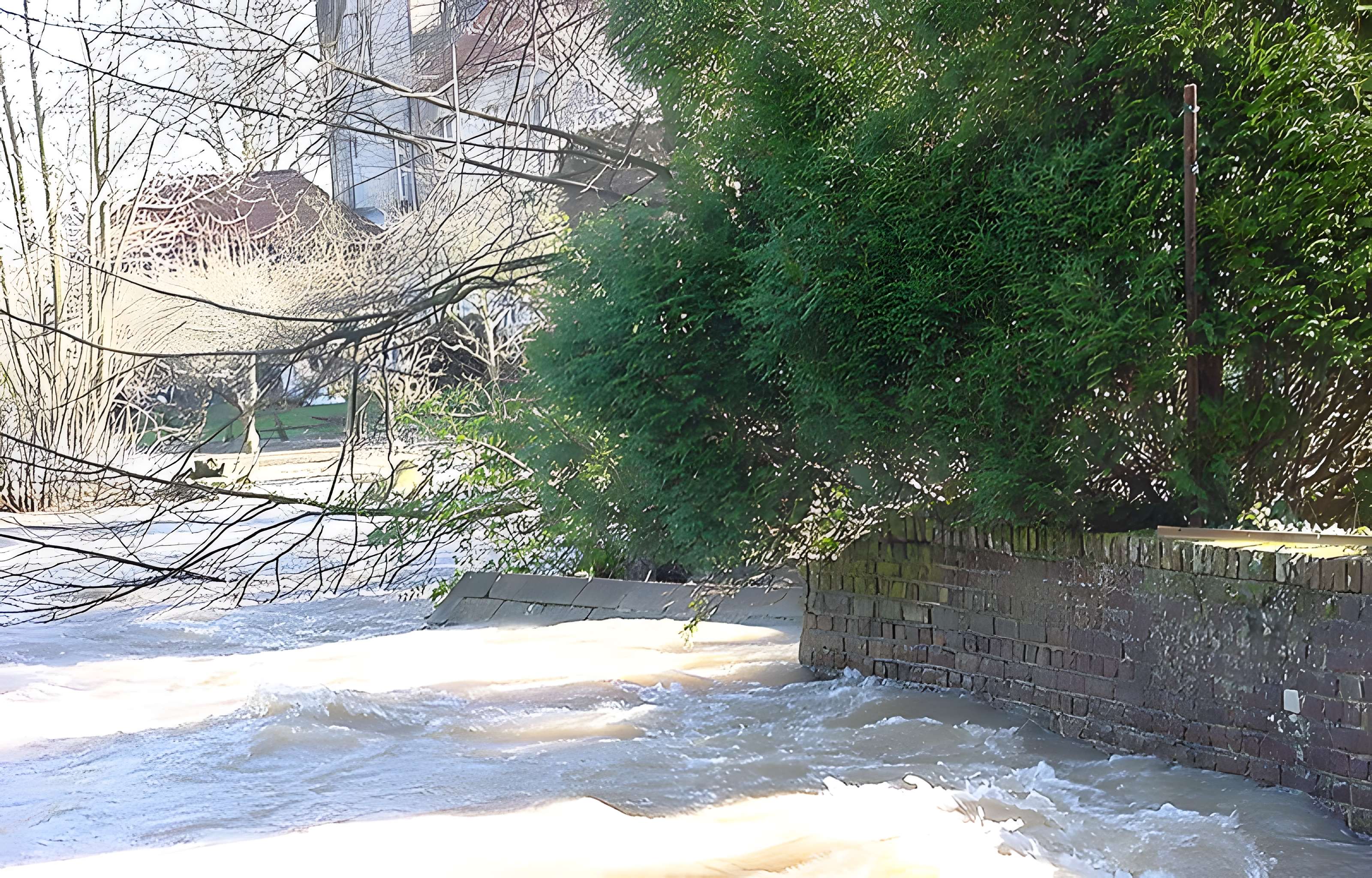 Abbaye Sainte-Colombe de Blendecques