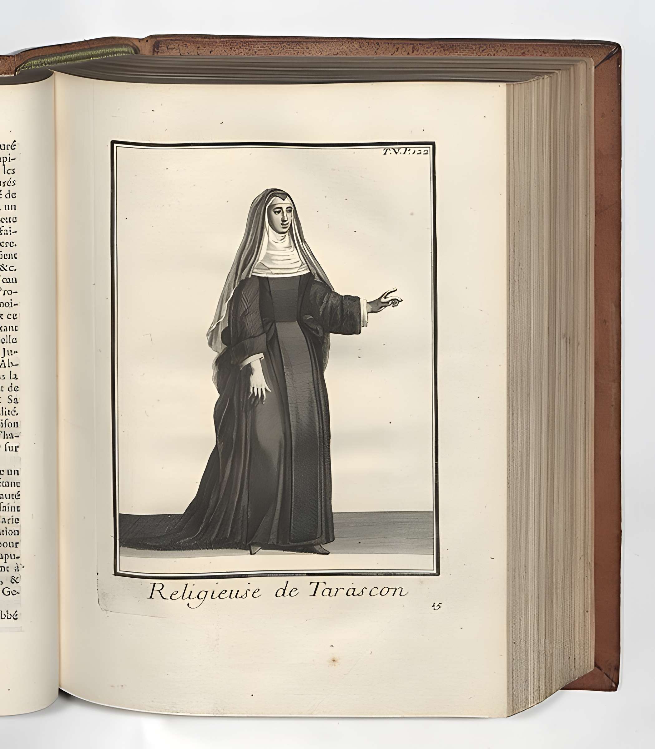 Abbaye Saint-Honorat de Tarascon