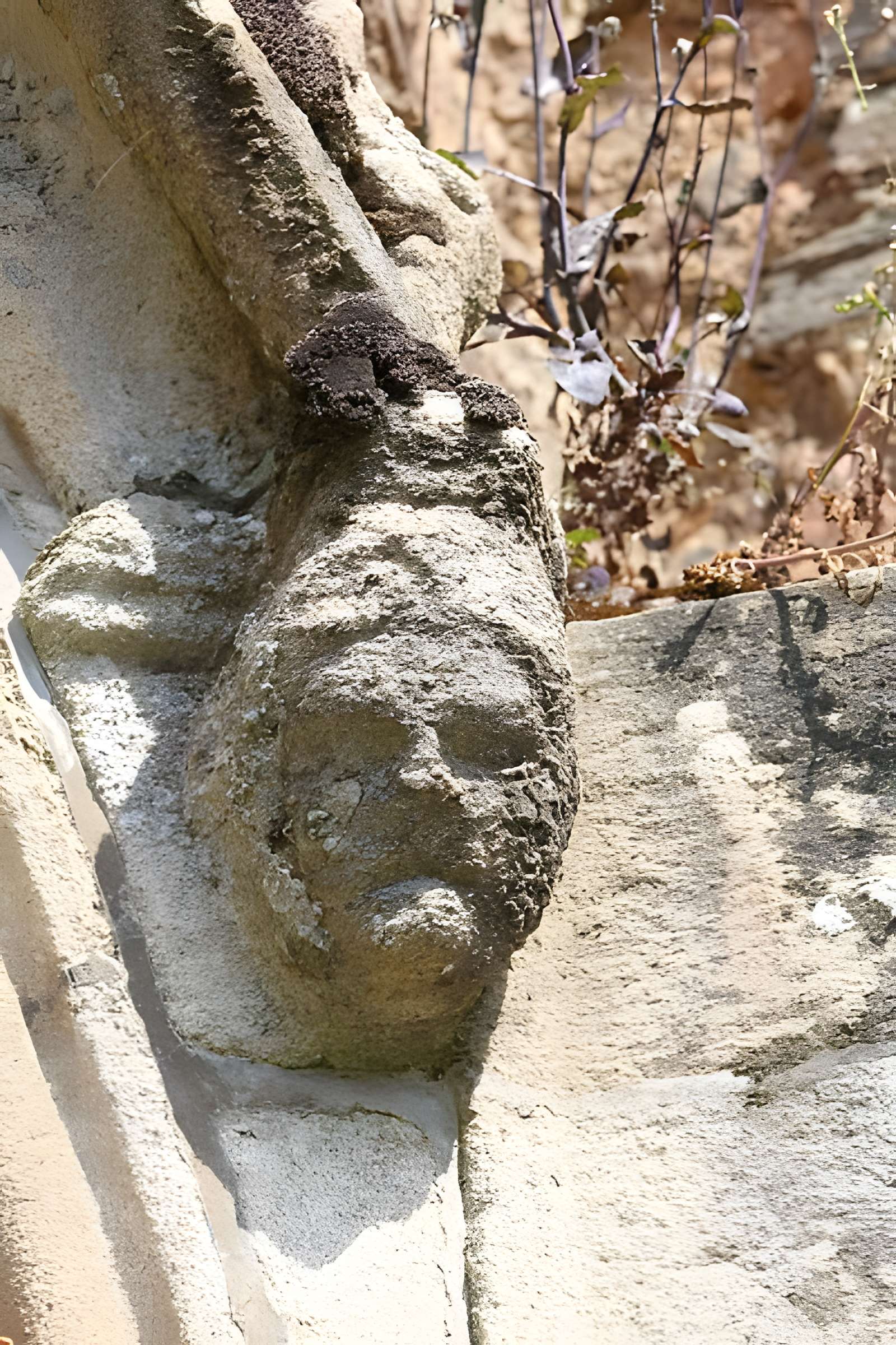 Abbaye Saint-Jacques de Montfort
