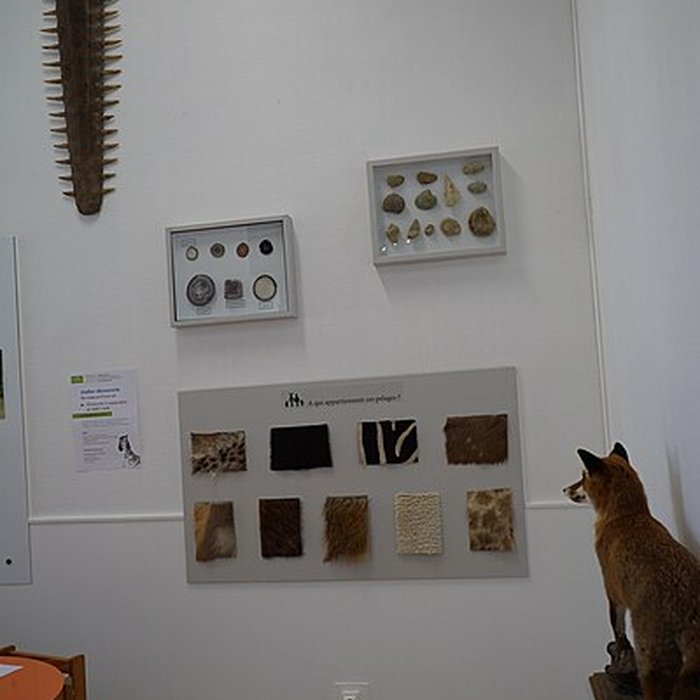 Photo de Abbaye Saint-Loup de Troyes