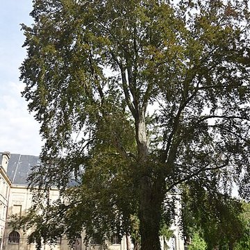Abbaye Saint-Loup de Troyes