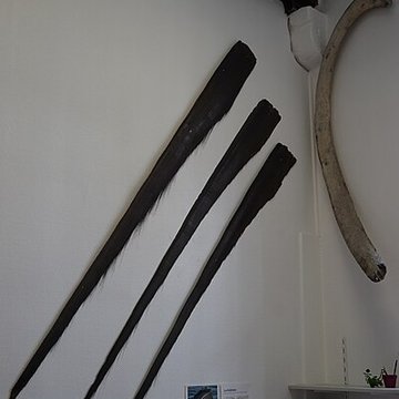 Abbaye Saint-Loup de Troyes