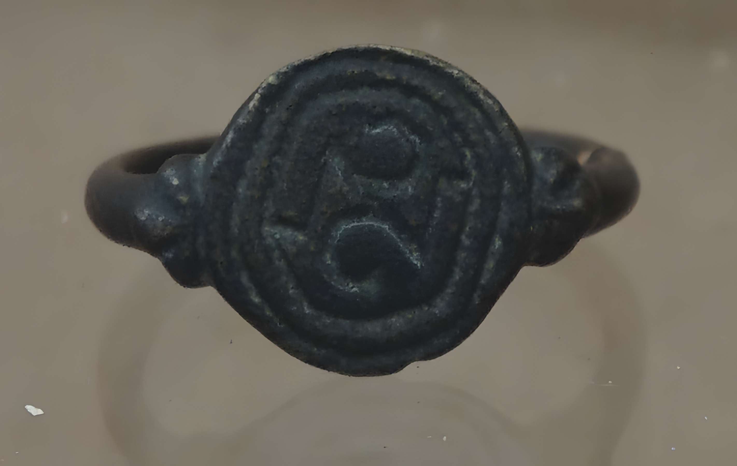 Abbaye Saint-Loup de Troyes