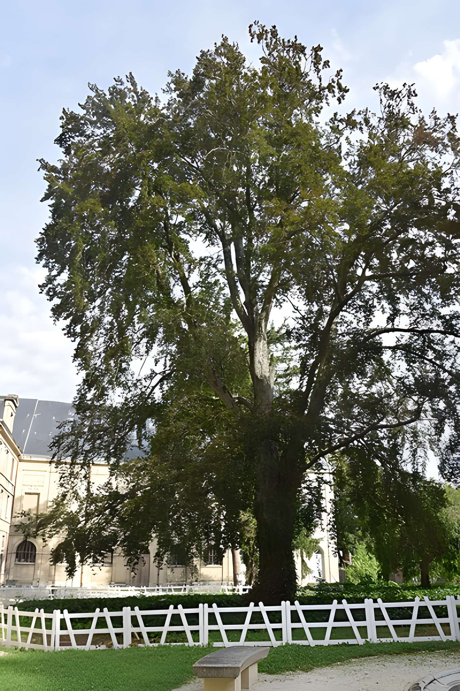 Abbaye Saint-Loup de Troyes