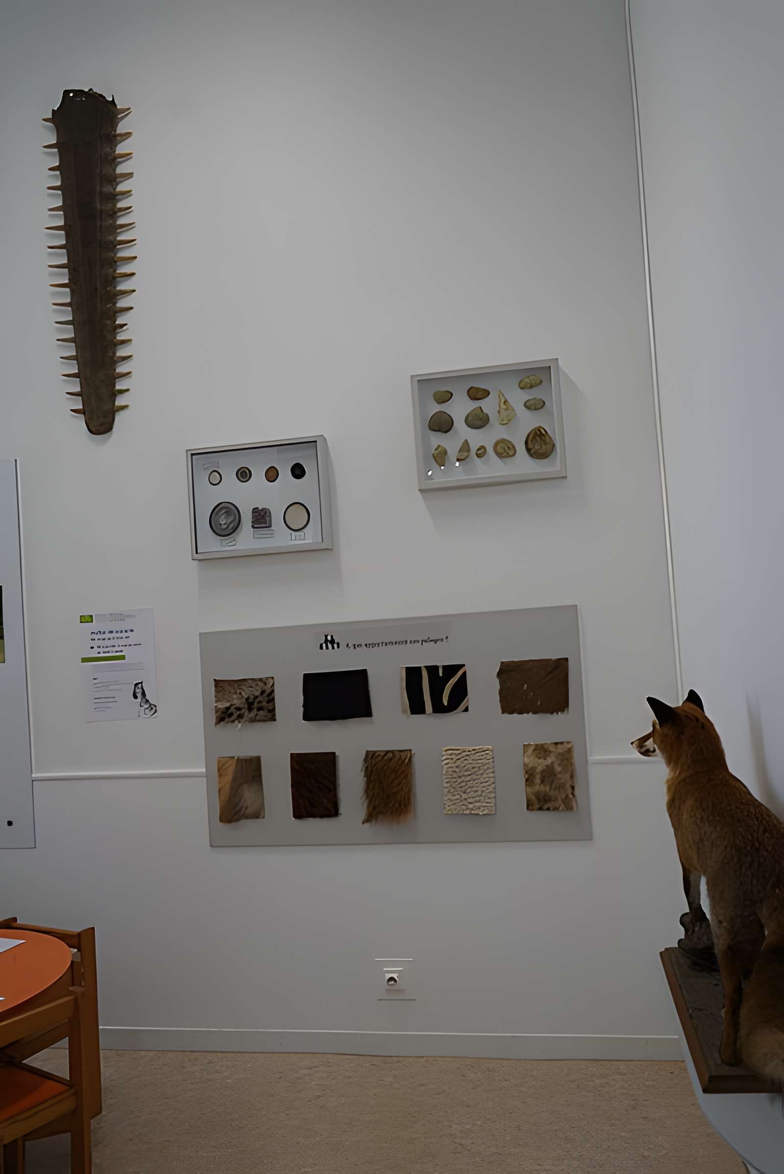 Abbaye Saint-Loup de Troyes