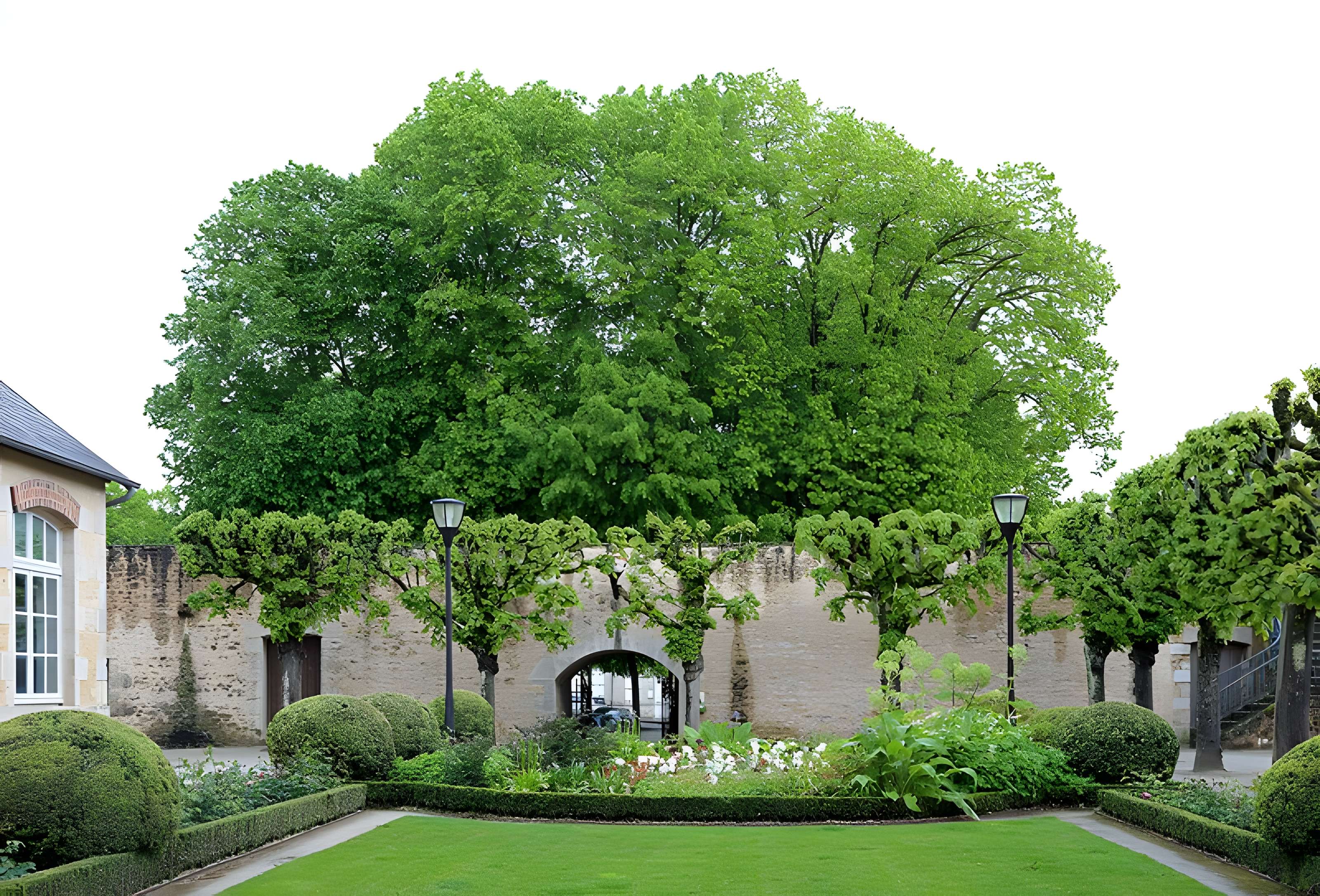 Maison d'Ozé à Alençon