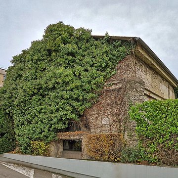 Abbaye Saint-Paul de Besançon