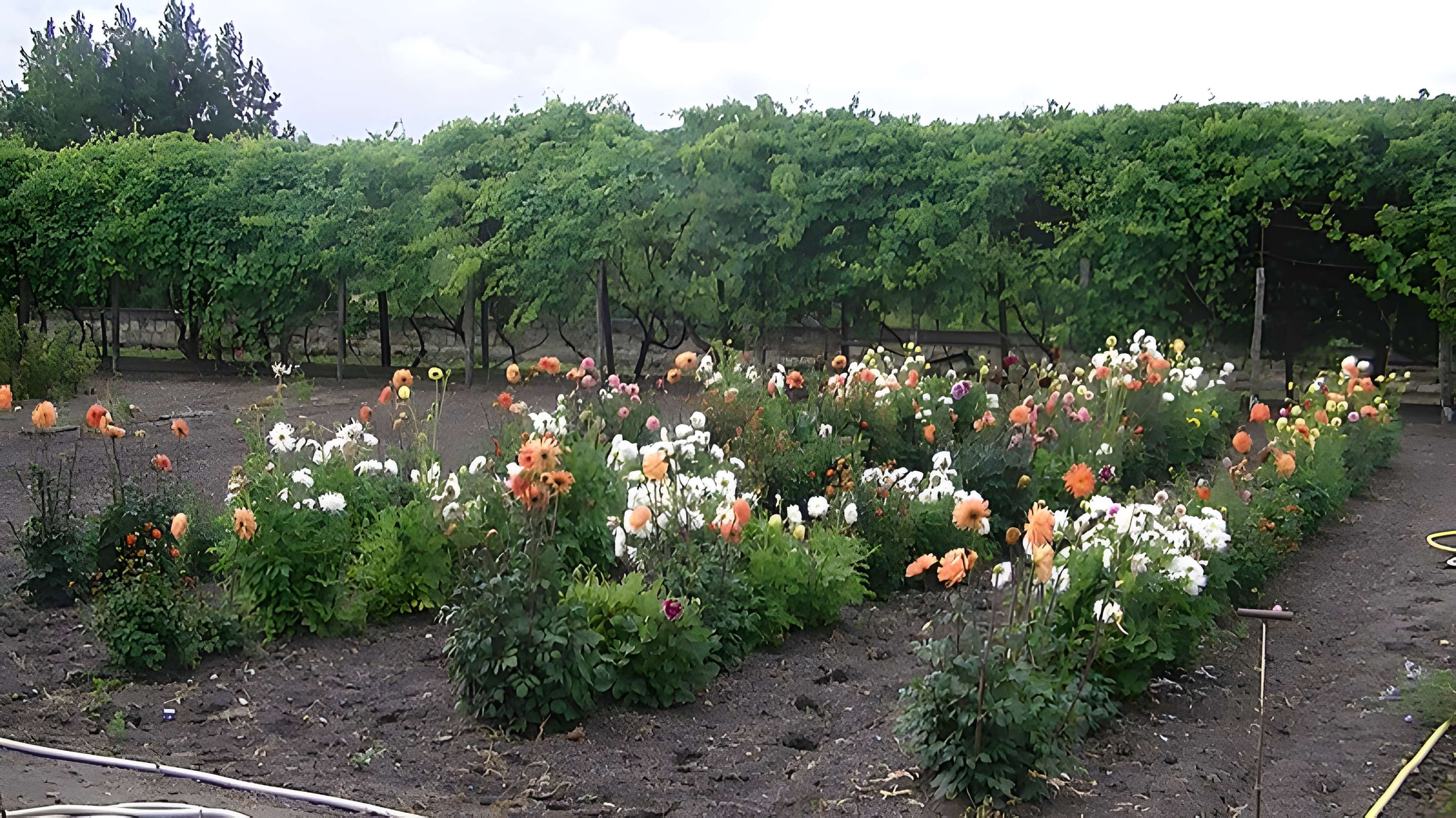Abbaye Saint-Pierre de Bourgueil