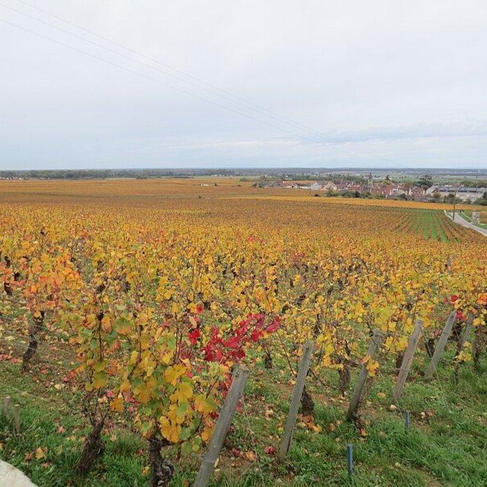 Photo de Abbaye Saint-Vivant de Curtil-Vergy