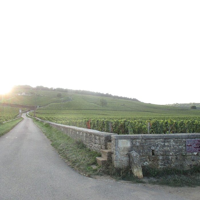 Photo de Abbaye Saint-Vivant de Curtil-Vergy