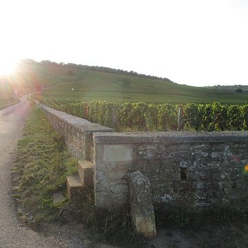 Abbaye Saint-Vivant de Curtil-Vergy