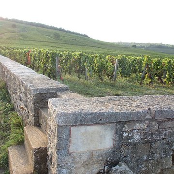 Abbaye Saint-Vivant de Curtil-Vergy