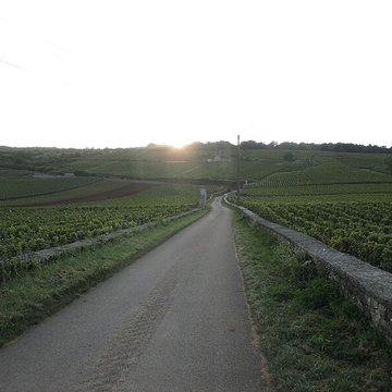 Abbaye Saint-Vivant de Curtil-Vergy