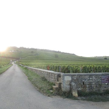 Abbaye Saint-Vivant de Curtil-Vergy