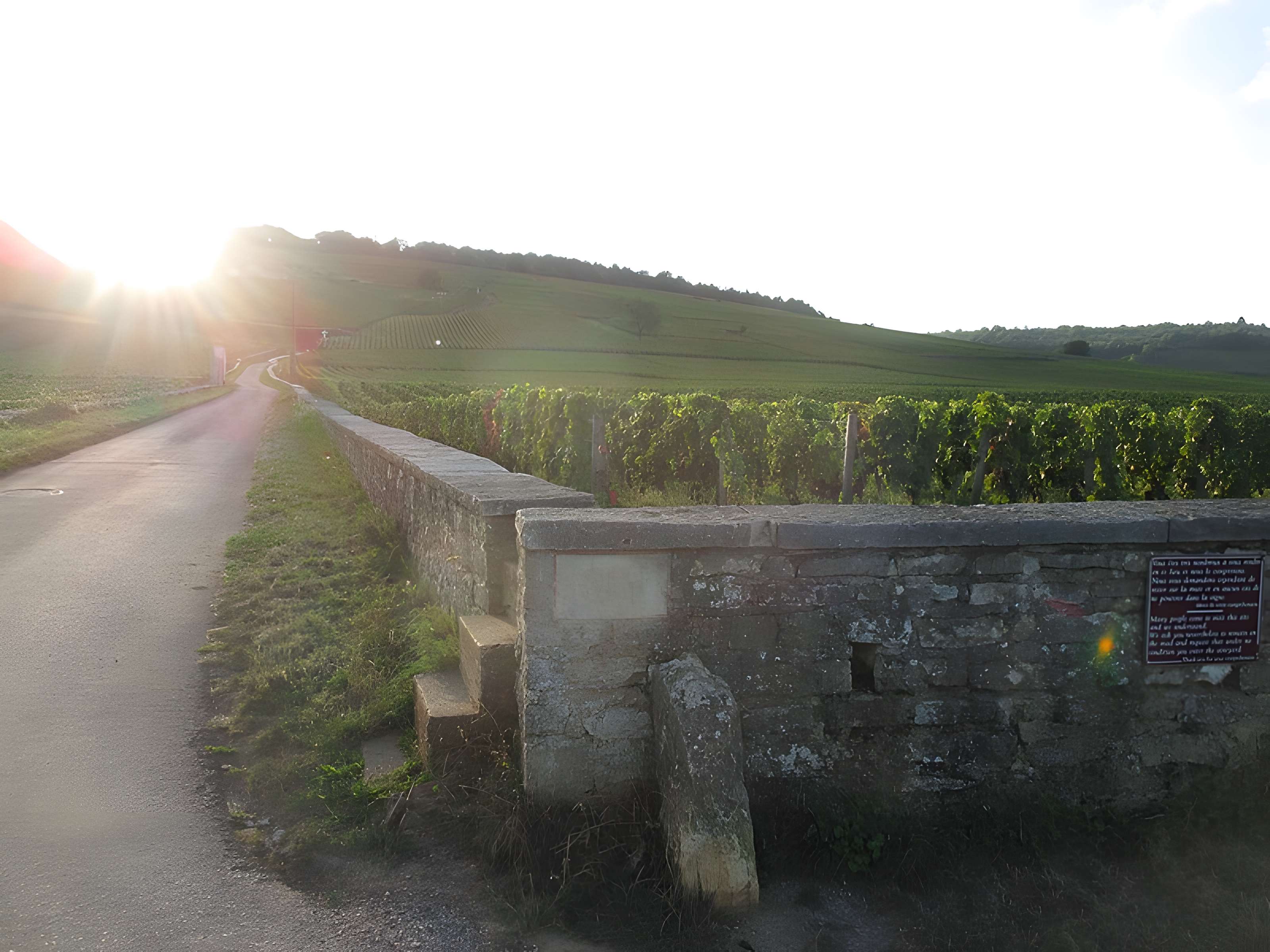 Abbaye Saint-Vivant de Curtil-Vergy