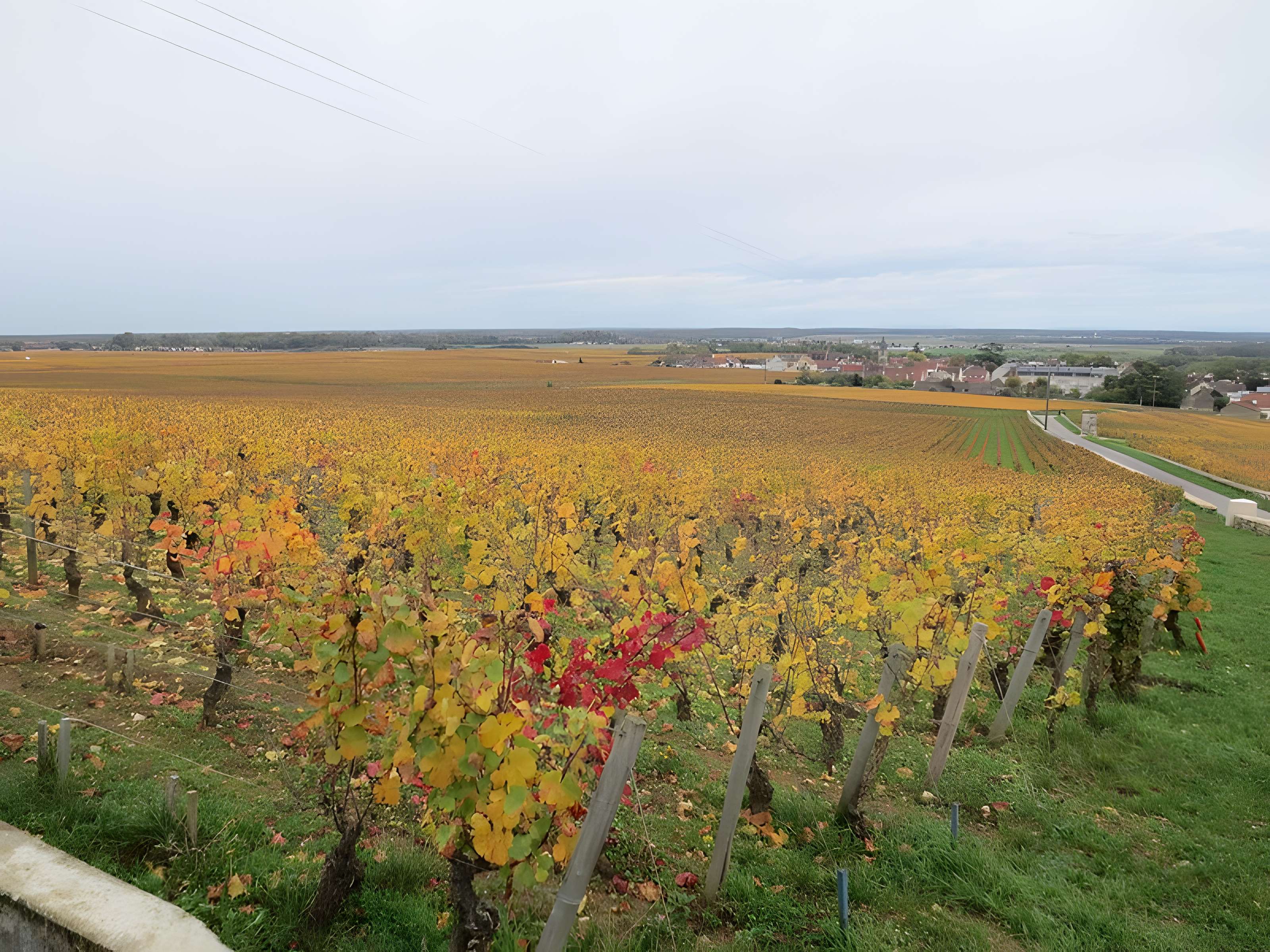Abbaye Saint-Vivant de Curtil-Vergy