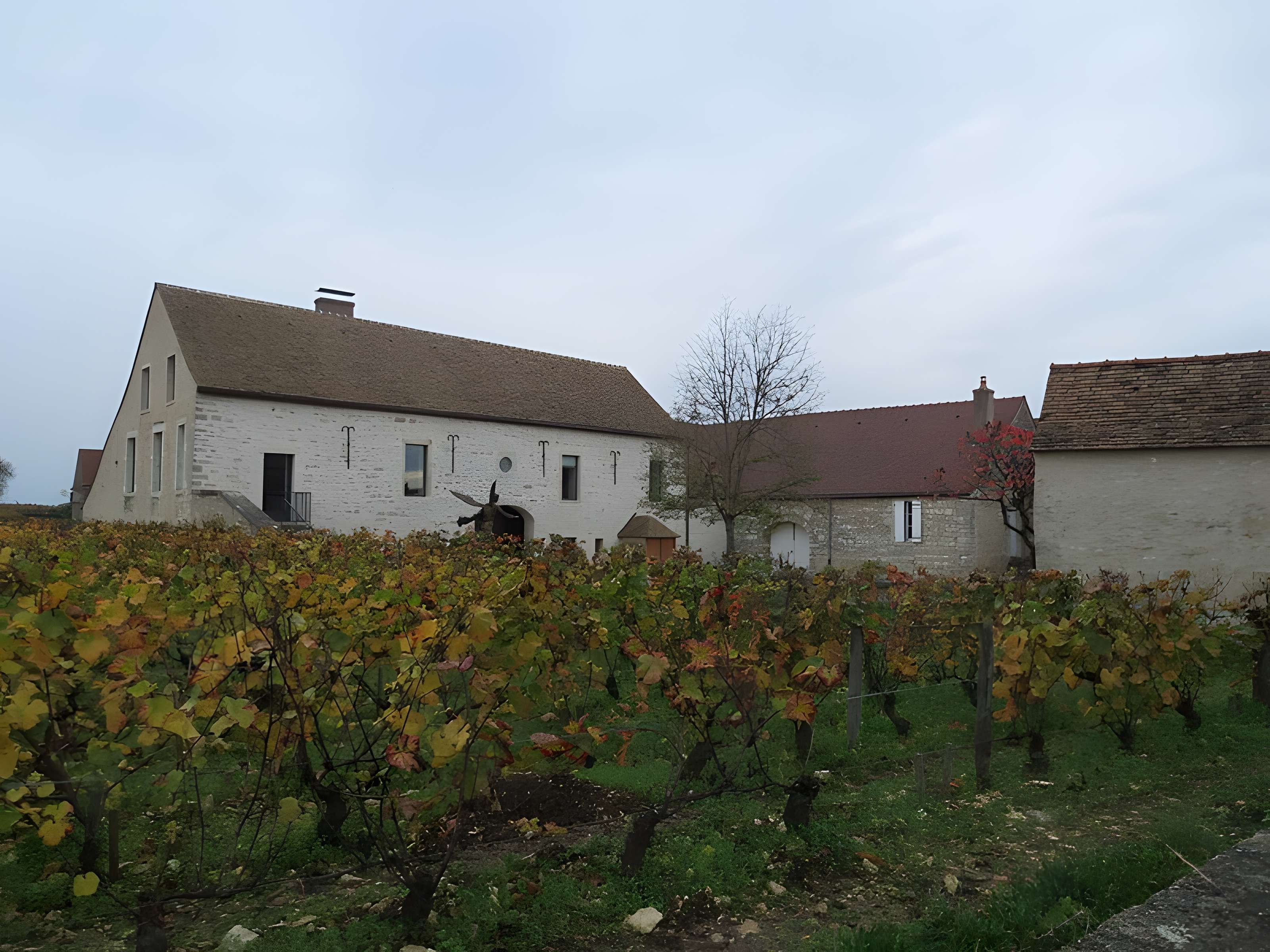 Abbaye Saint-Vivant de Curtil-Vergy