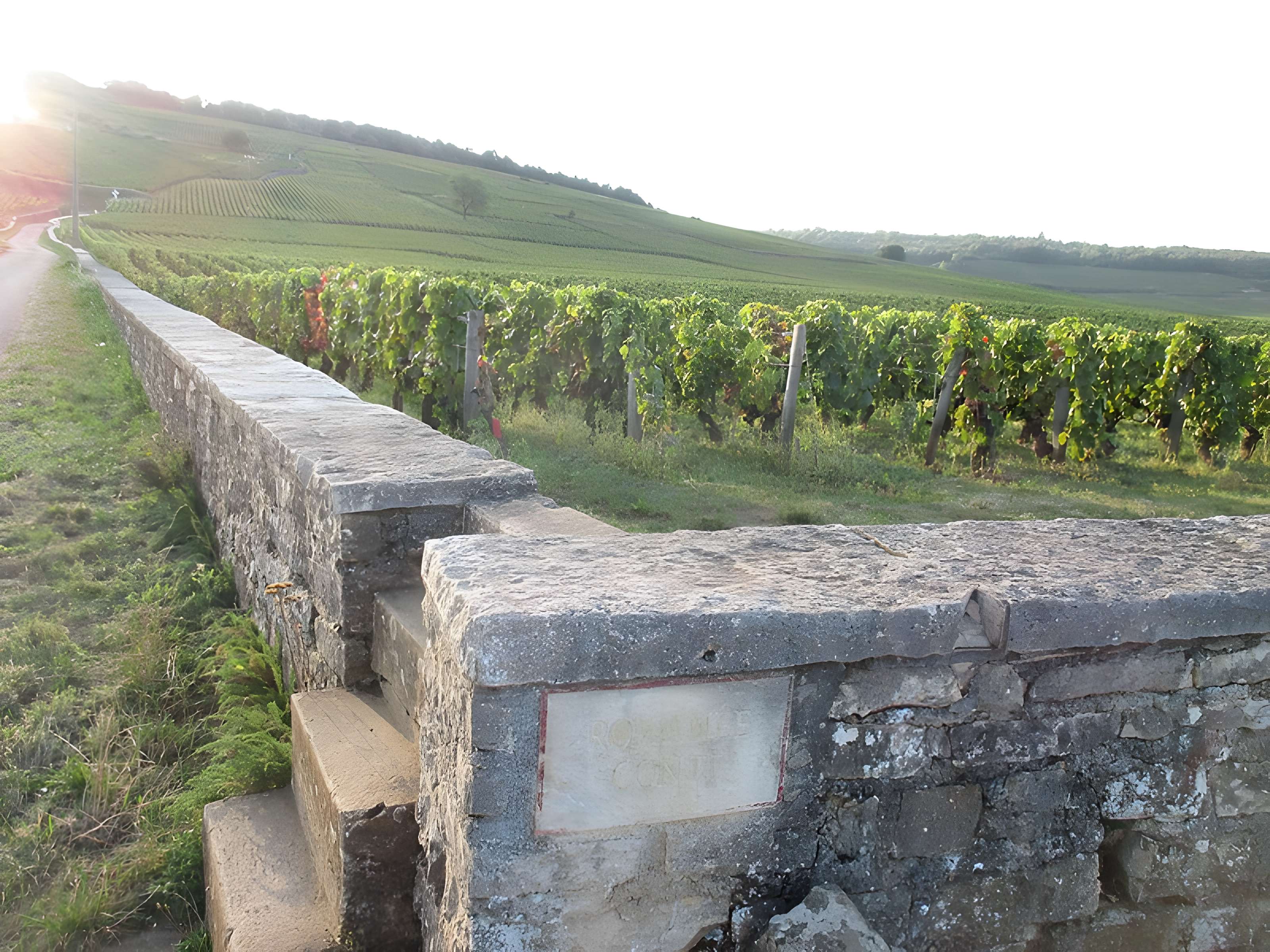 Abbaye Saint-Vivant de Curtil-Vergy