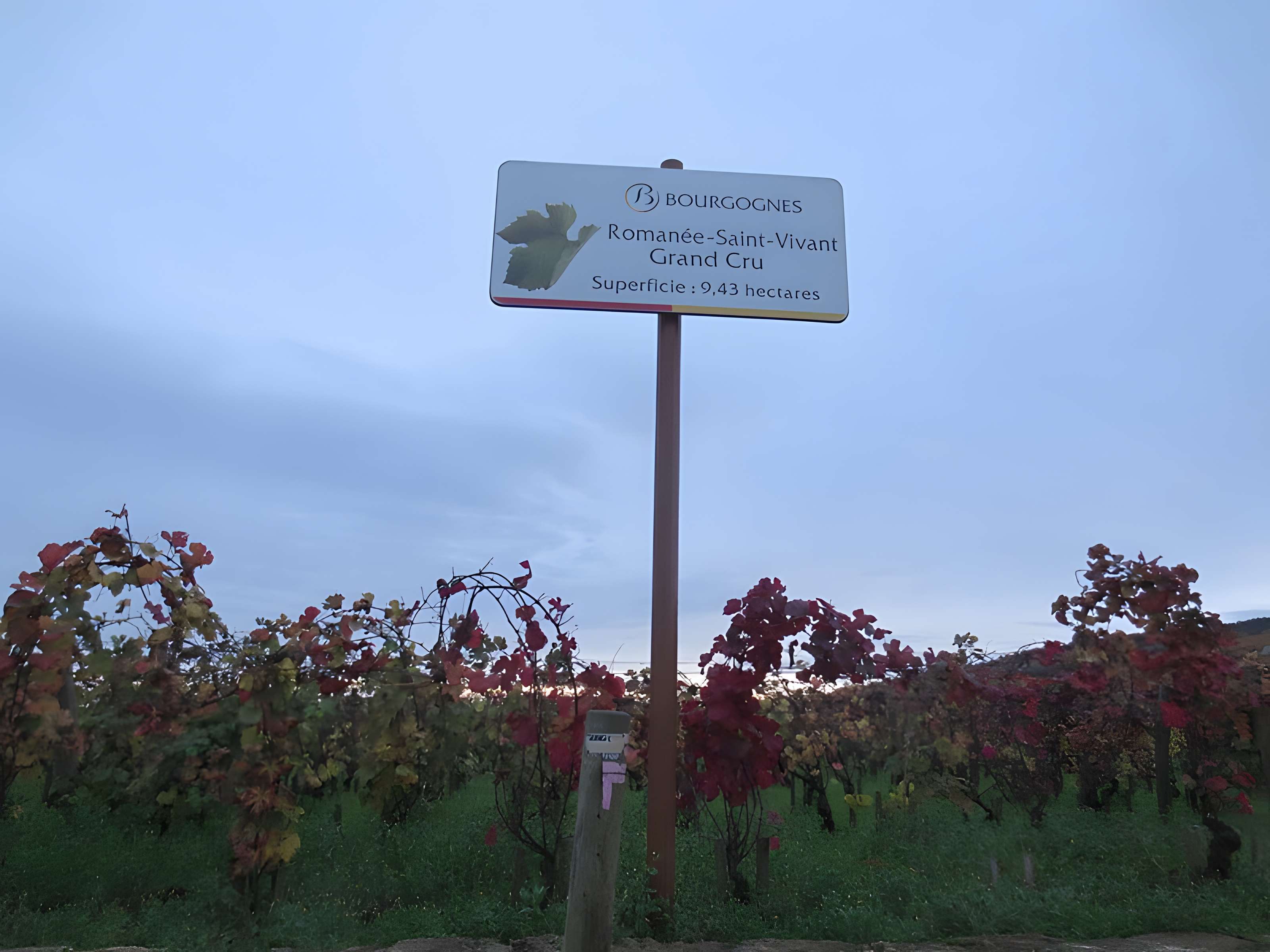 Abbaye Saint-Vivant de Curtil-Vergy