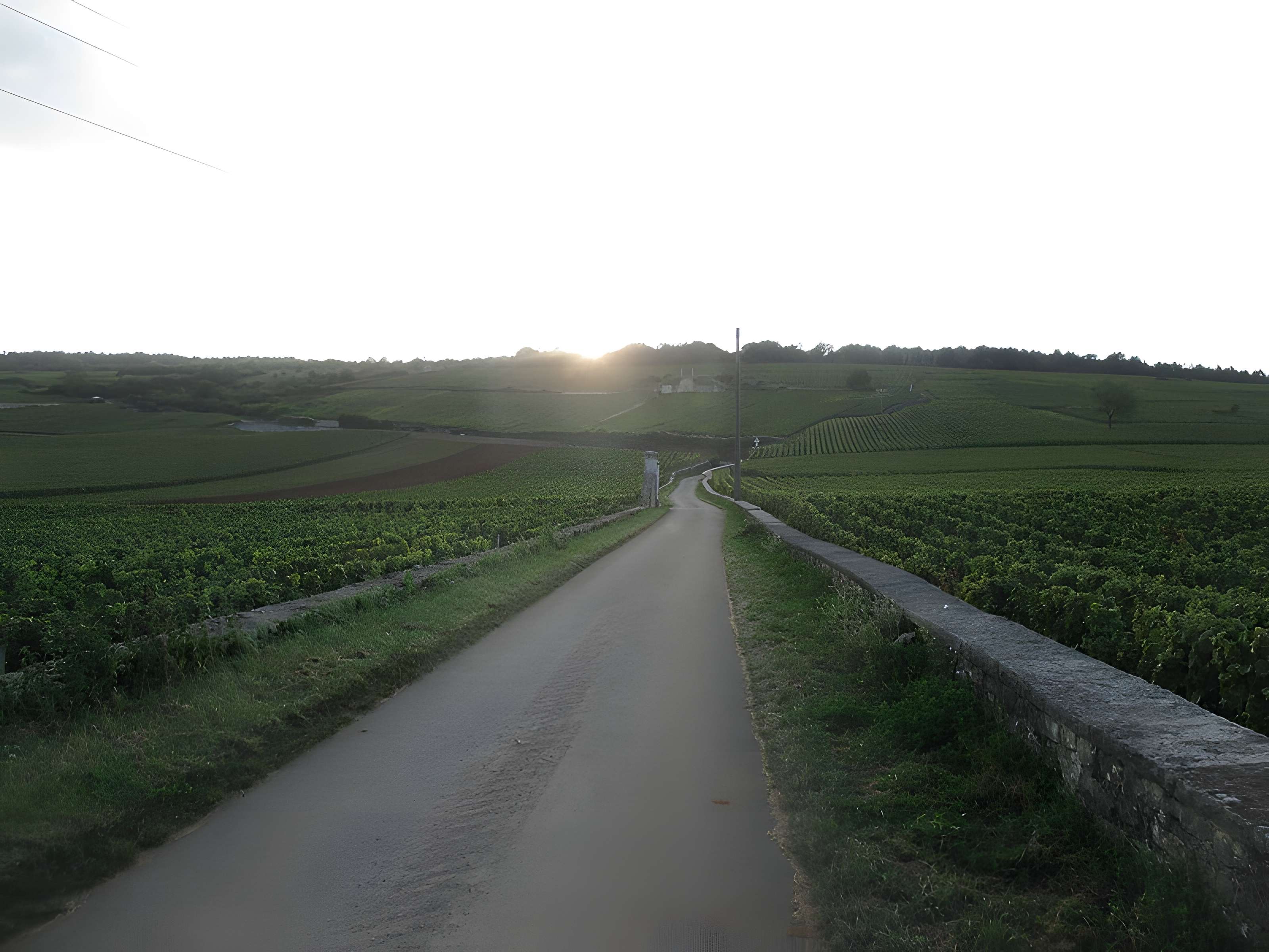 Abbaye Saint-Vivant de Curtil-Vergy