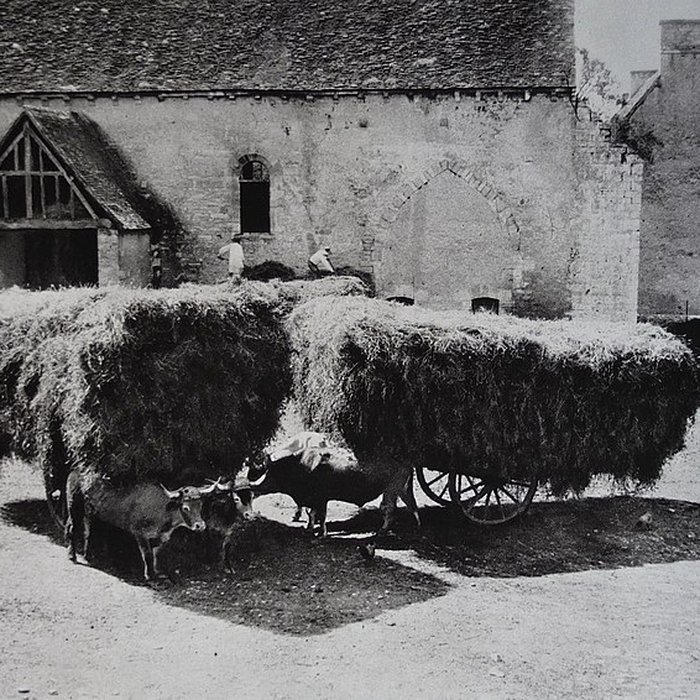 Photo de Abbaye de Varennes