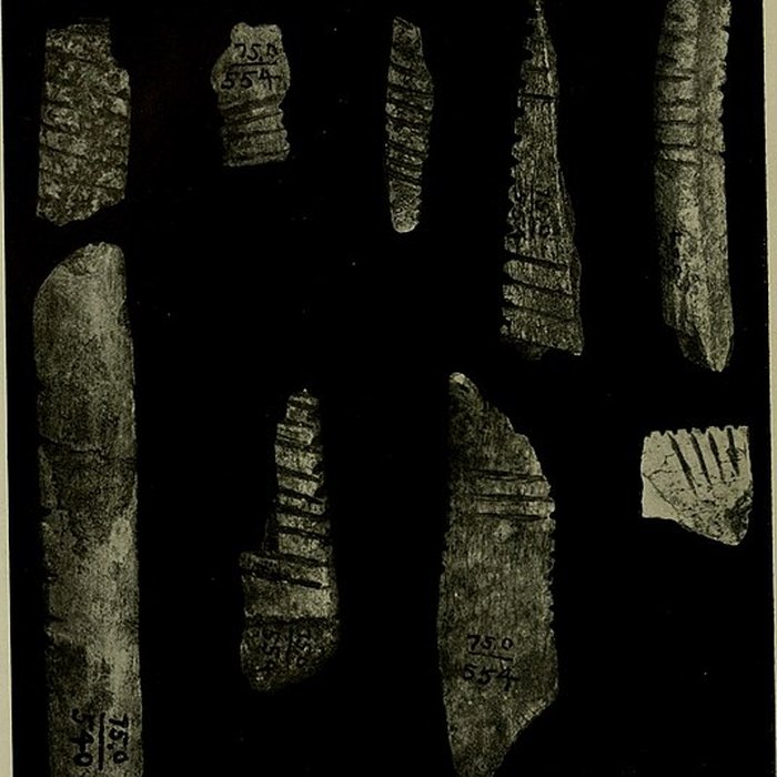 Photo de Abri Blanchard à Sergeac