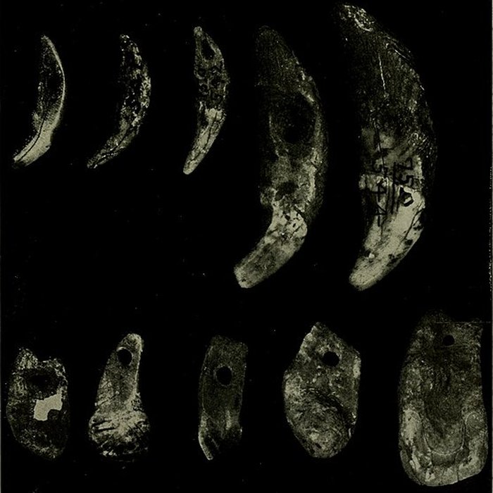 Photo de Abri Blanchard à Sergeac