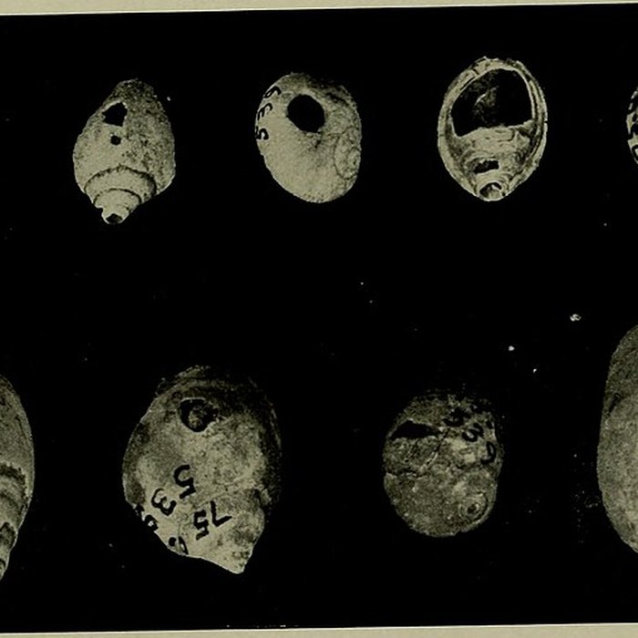 Photo de Abri Blanchard à Sergeac