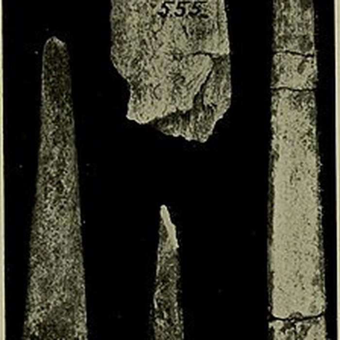 Photo de Abri Blanchard à Sergeac