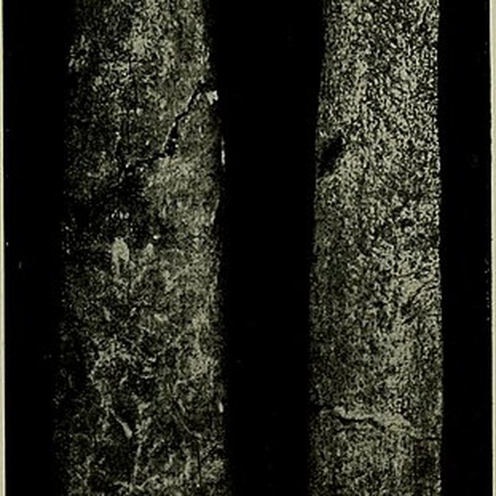 Photo de Abri Blanchard à Sergeac