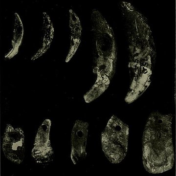 Abri Blanchard à Sergeac