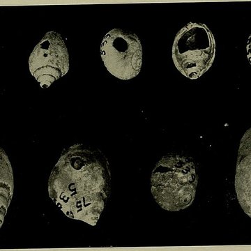 Abri Blanchard à Sergeac