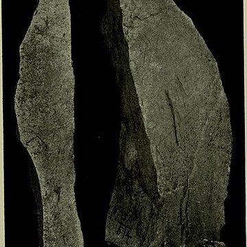 Abri Blanchard à Sergeac