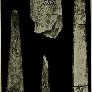 Abri Blanchard à Sergeac