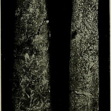 Abri Blanchard à Sergeac