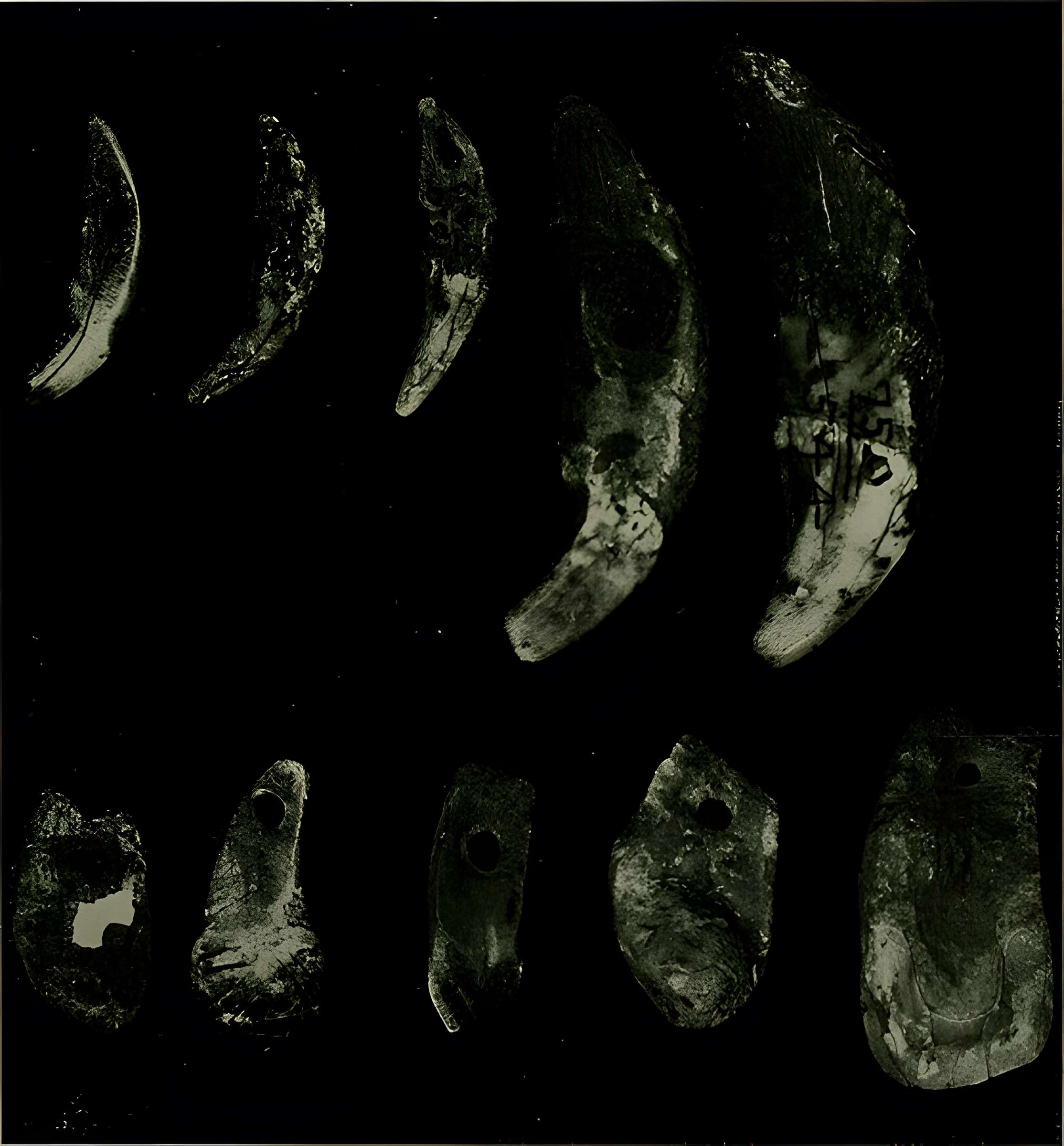 Abri Blanchard à Sergeac