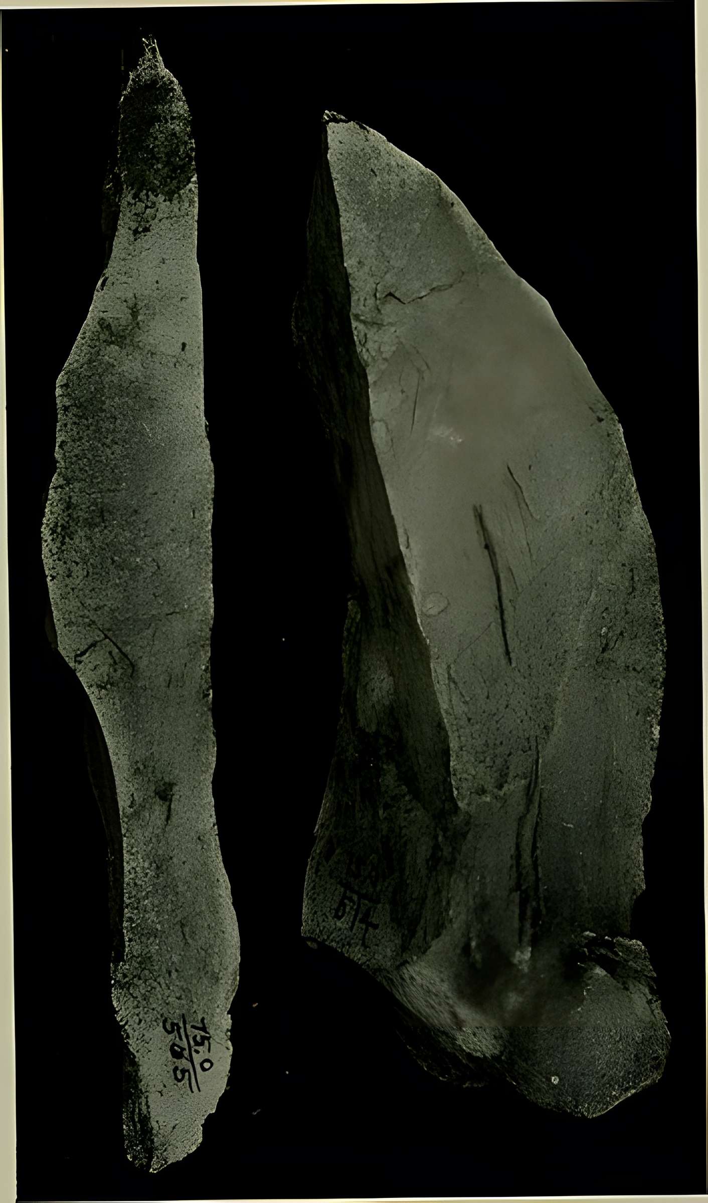 Abri Blanchard à Sergeac