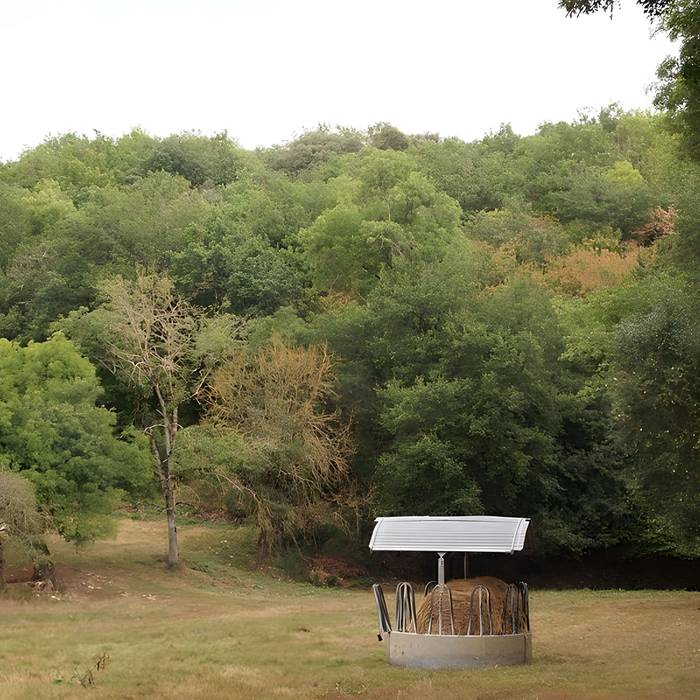 Photo de Abri du Bois-du-Roc à Vilhonneur