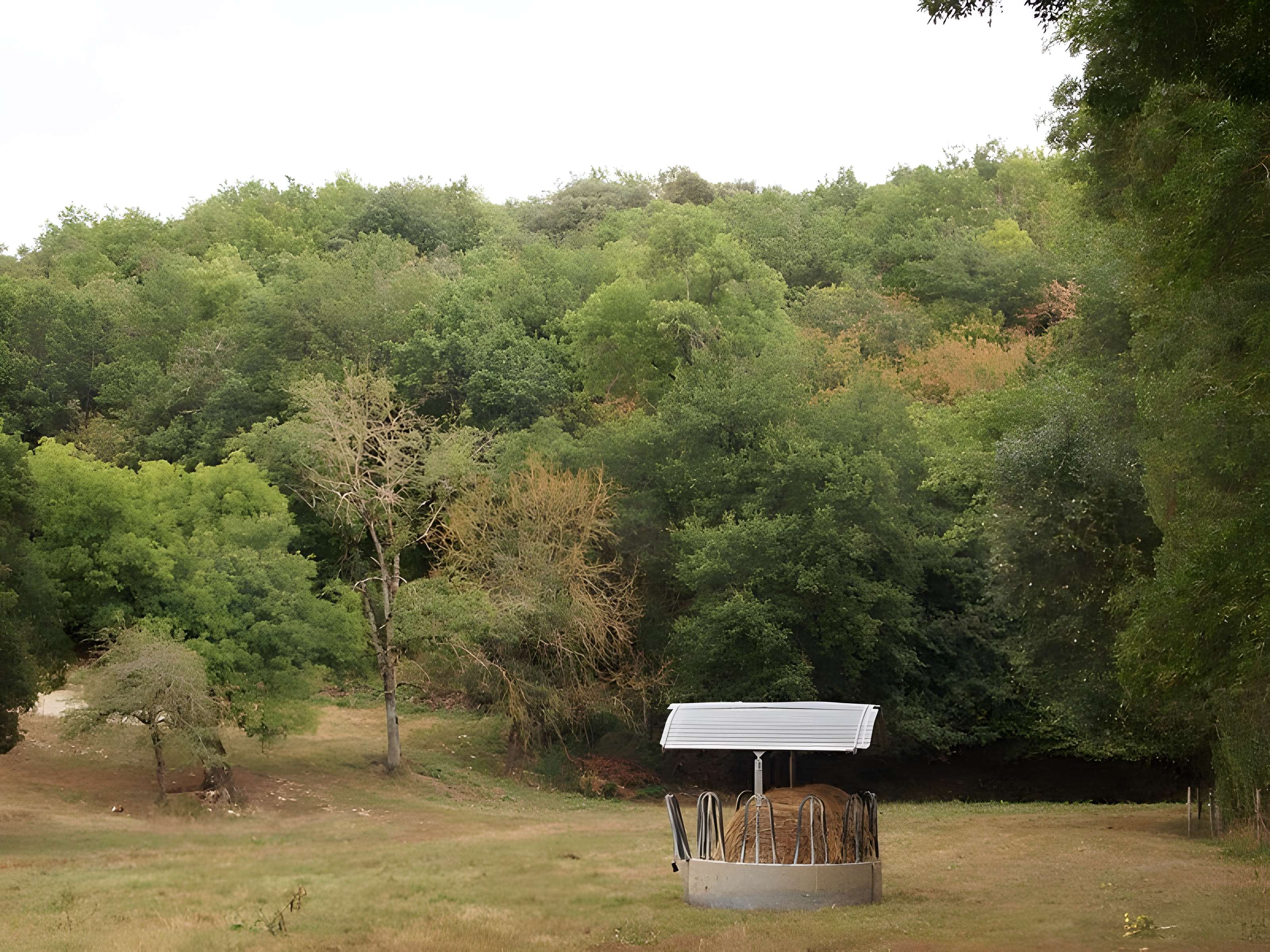 Abri du Bois-du-Roc à Vilhonneur 